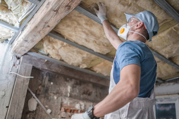 Best DIY Insulation Kits and Guidance in Whippany, NJ